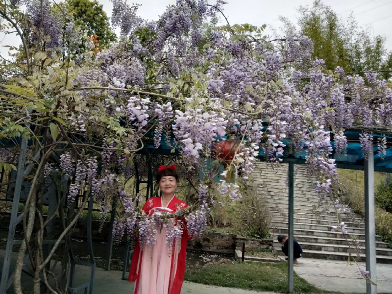 莉莉的第一张照片--周宁婚介网